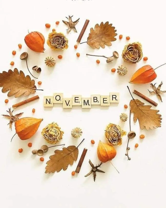November – Community Giving